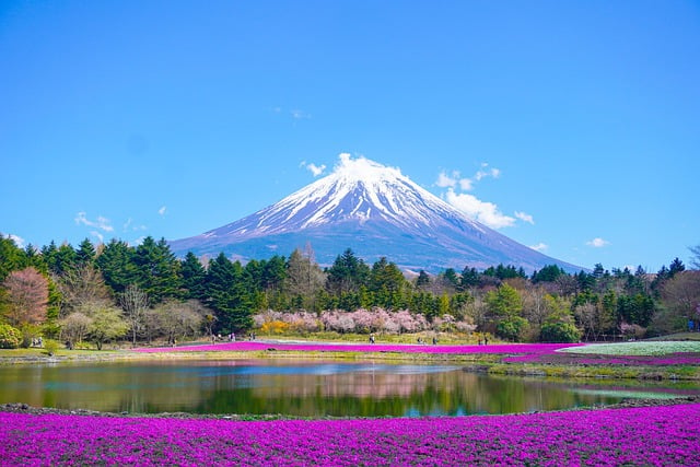 Backpacking Japan: How to Travel Cheaply and Efficiently